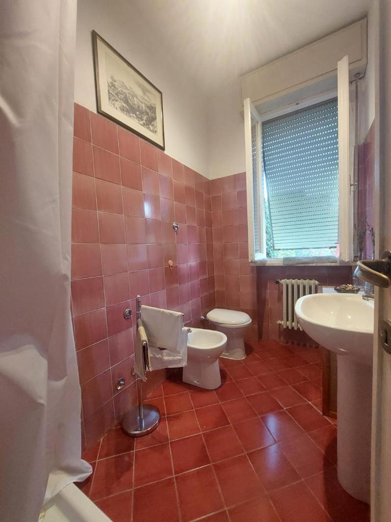 Sauro 43 Apartment Pisa Exterior foto